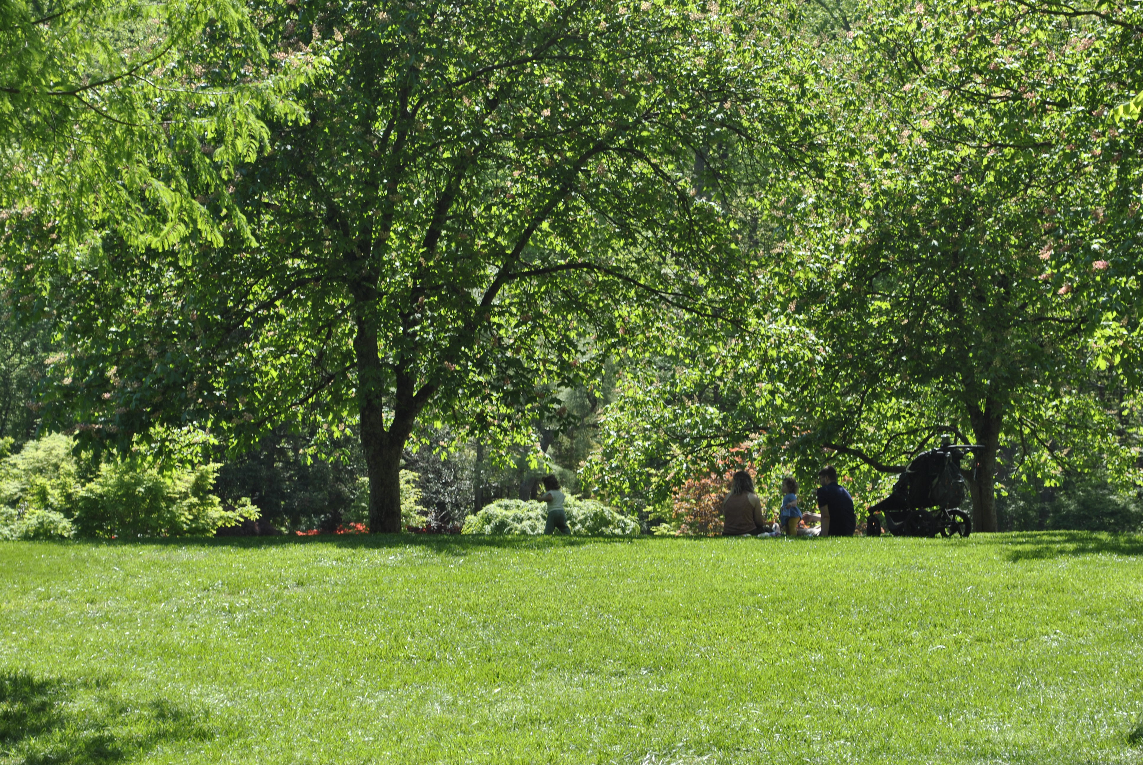 Brookside Gardens